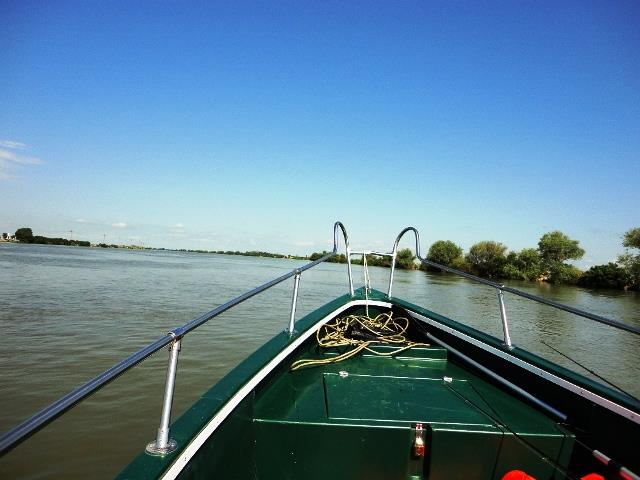 Doar ... NATURA - 3 - dsc09958.JPG